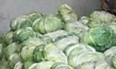 Musim Kemarau Membuat Harga Sayuran Melonjak Dipasaran