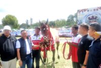Pacu Kuda Derby Bukittinggi–Agam 2026 Digelar, 80 Kuda Rebut Hadiah Ratusan Ju