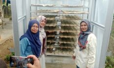 Pengabdian Kepada Masyarakat Internasional Program EQUITY 2026 Dorong UMKM Kerupuk Ubi Kayu Kamang Naik Kelas