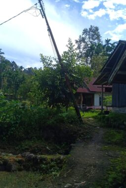 Tiang Listrik Miring Meresahkan Warga di Malalak Selatan, PLN Diminta Gerak Cepat